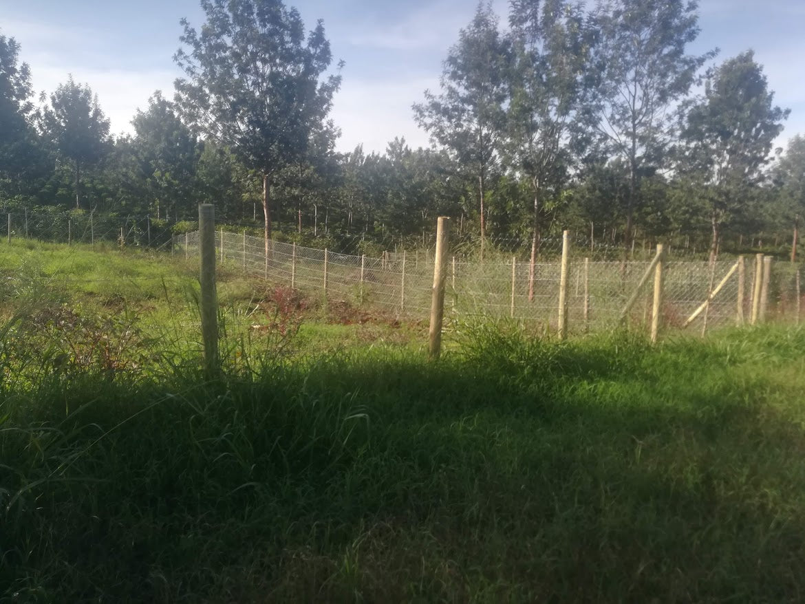 12.5 Gauge Chainlink