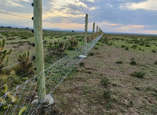 Chainlink vs Barbed Wire Cost Comparison: Which Fencing Option Gives Better Value?