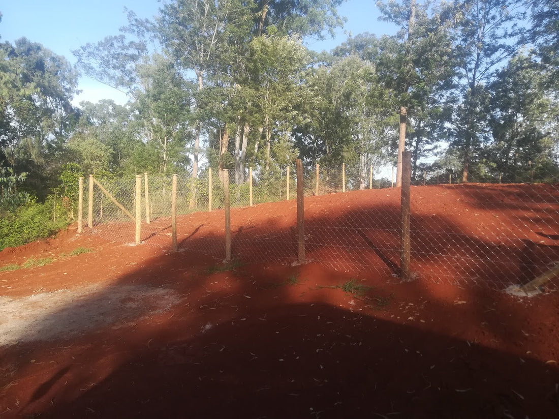 Chainlink Fence Supplier in Oaklands and Tatu Estate, Ruiru: How One Referral Became the Default