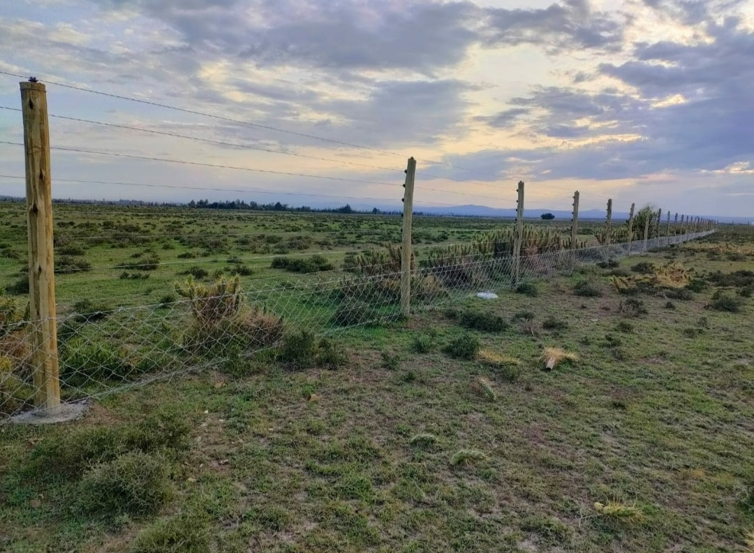 Why Most Chainlink Fails