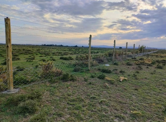 12.5 Gauge Chainlink